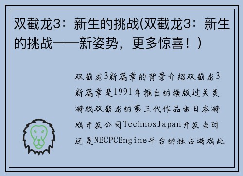双截龙3：新生的挑战(双截龙3：新生的挑战——新姿势，更多惊喜！)